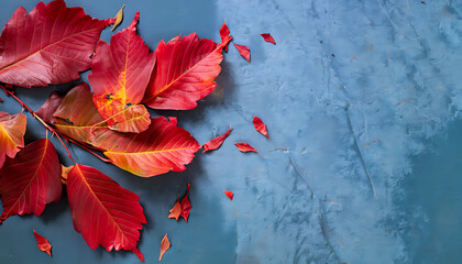 red autumn leaves, Leafy Tranquility: Colored Red Leaves on Blue Slate with Space,  AI Generated