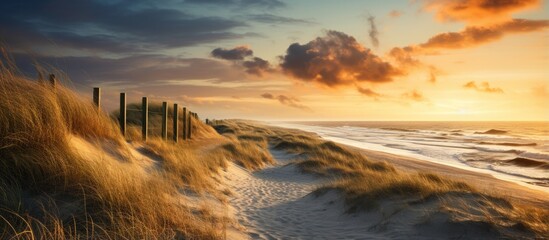 Golden sunset illuminates the pathway to North Sea beach in North Holland Netherlands With copyspace for text