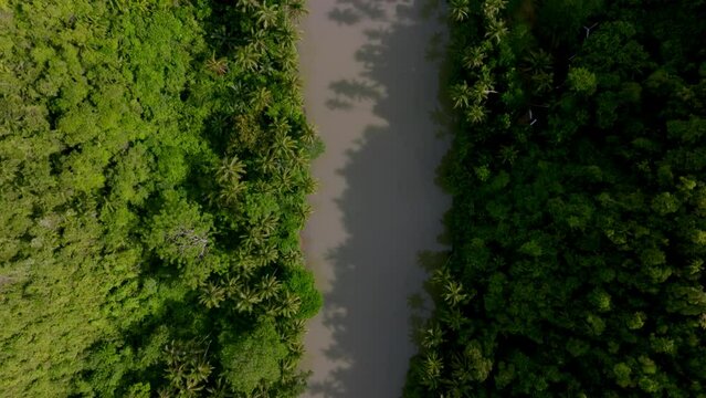 4K DRONE VIDEO OF JUNGLE RIVER PHILIPPINES