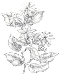 image-27-09-23-03-30
