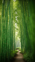 Fototapeta premium sunlight through the forest