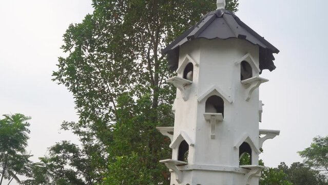 wooden bird house