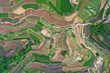 Aerial view of the rice terraces in the east of China
