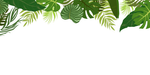 Horizontal background with green leaves of tropical palm tree, banana and monstera. Elegant backdrop decorated with foliage of exotic jungle plants. Natural border. Vector illustration. - obrazy, fototapety, plakaty