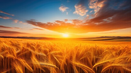 Beautiful Sunset Landscape With Golden Wheat Field
