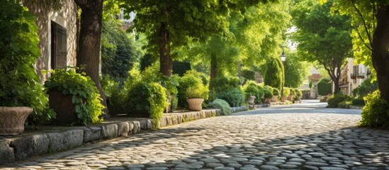 Quiet road in the beautiful garden With copyspace for text