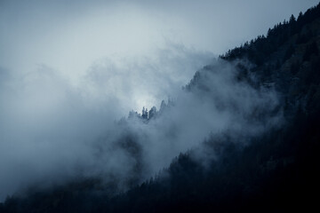 Naklejka na ściany i meble mist in the mountains