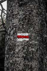 black and red © Pawel Filusz