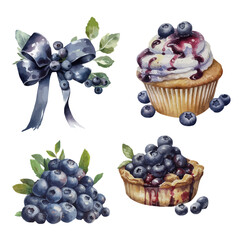 Watercolor blueberry healthy sweet collection. Vector set contains blueberry pile, cupcake, bow, tart. 