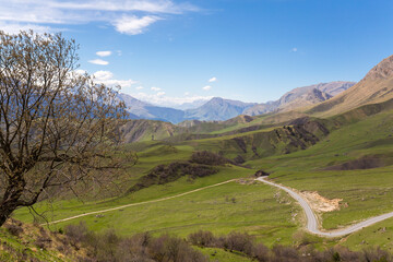Panoramic view of the Caucasus mountains