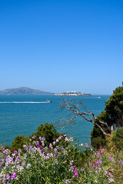 View from Fort Mason to Alcatraz Island in San Francisco Bay, California