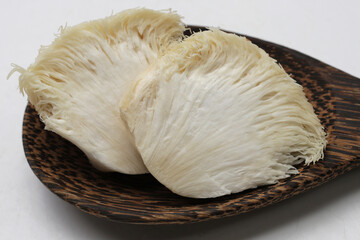 Fresh lion's mane mushroom on white background. (Yamabushitake Mushroom)