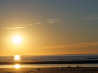 Die Insel Langeoog in der Nordsee