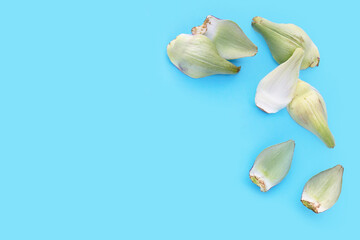 Fresh artichoke petals on blue background