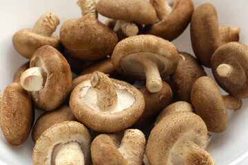 Fresh shiitake mushrooms in white plate.