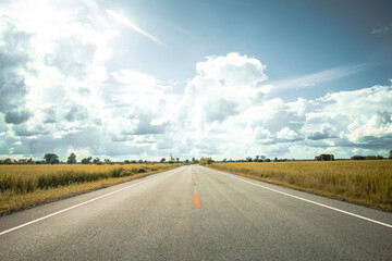 A two-lane rural highway with rice fields on both sides.