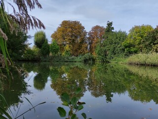 Halberstadt - Gewässer im Herbst