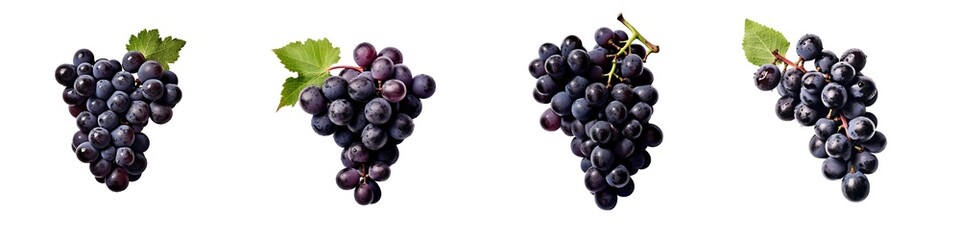 Fototapeta premium Black_grapes