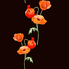 Watercolor seamless pattern with hand drawn summer bright red poppy flowers. Isolated on color background. Design for invitations, wedding, love or greeting cards, paper, print, textile
