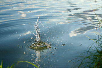 Wassertropfen im Sonnenlicht am See