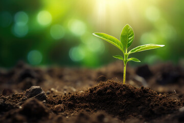 The seedling are growing in the soil with sunrise. Generative AI