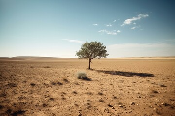 Symbol of Survival Desert's Lone Sentinel