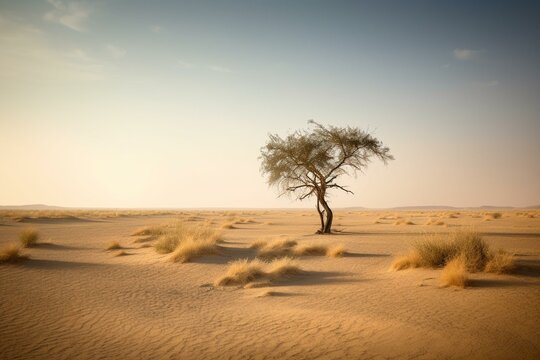 Barren Beauty Lone Tree's Midday Stand