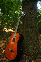 guitar near a tree in the forest, camping, songs by the fire