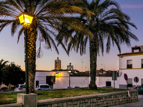 Lampposts and palms at Heart of Mary square and Our Lady of the Candelaria church on the background in Zafra. Badajoz. Spain. Europe.