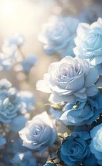 Beautiful blue and pink roses in the garden. AI