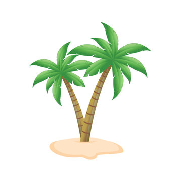 Vector illustration of a coconut palm tree in cartoon style