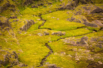 mountain stream in green rocky platoe 
