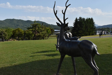 The nicely-shadowed beautiful deer sculpture on the green field in Sapporo Japan