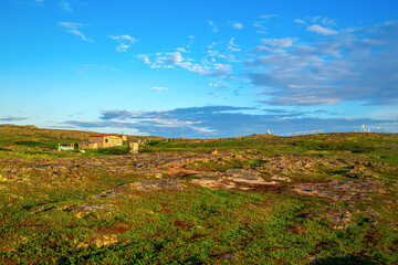 Picturesque nature of the north. Tundra in summer.