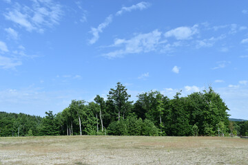 The peaceful plain green field with the clear blue sky in Sapporo Japan