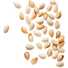 pumpkin seeds, heap of pumpkin seeds isolated on transparent background, png file, clipping path,