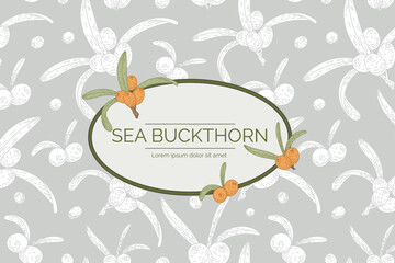 Label or logo with the name Sea Buckthorn. Twig with leaves and berries, background with pattern. Vector isolated template, natural packaging design.