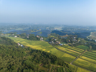 Fototapeta na wymiar view of country field
