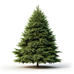 Christmas pine tree isolated on a white background