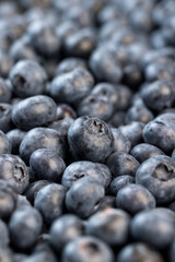 sweet and delicious blueberries during storage before sale
