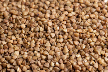 A large amount of roasted buckwheat harvest