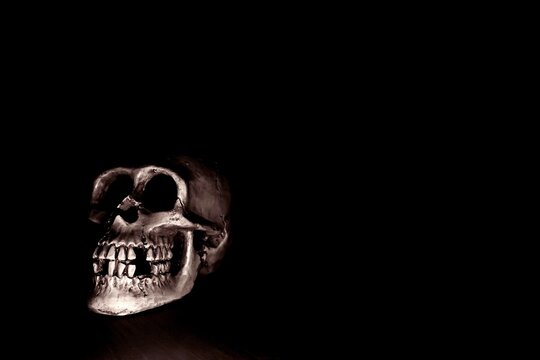 Sch&auml;del vor schwarzem Hintergrund, menschlicher Totenkopf und Totensch&auml;del f&uuml;r Halloween, gruselige Knochen