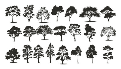 silhuette of trees on transparent background