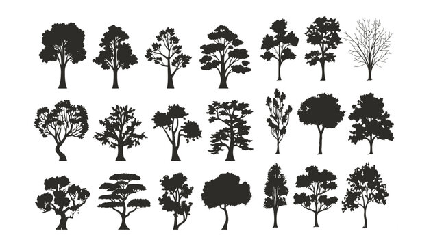 silhuette of trees on transparent background