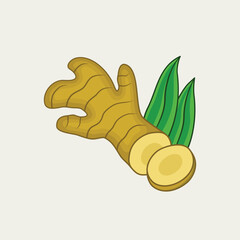 Ginger herbs vector illustration design