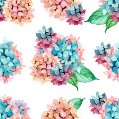 Seamless watercolor pattern. Bright, colored hydrangeas isolated on a white background. Botanical illustration.