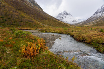 View from Vallasetra and Langdalen, Ørsta, Norway
