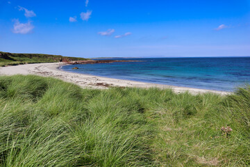 Blue water white sand scottish beach in scotland with grass and dunes