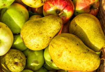 Fresh apples and pears in summer garden, in the countryside