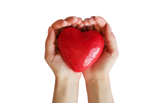 Red heart in hands on a transparent background - Powered by Adobe